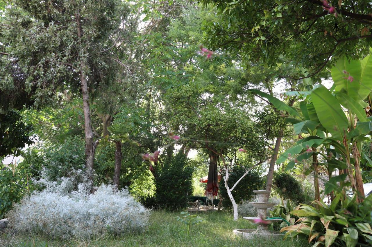 Hotel Ceka Dıraç Dış mekan fotoğraf