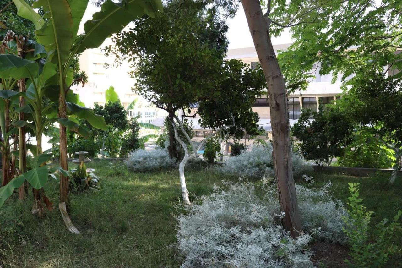 Hotel Ceka Dıraç Dış mekan fotoğraf