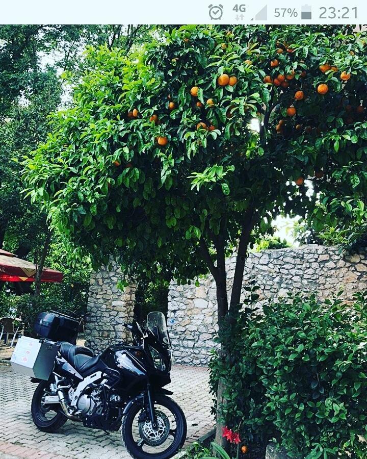 Hotel Ceka Dıraç Dış mekan fotoğraf